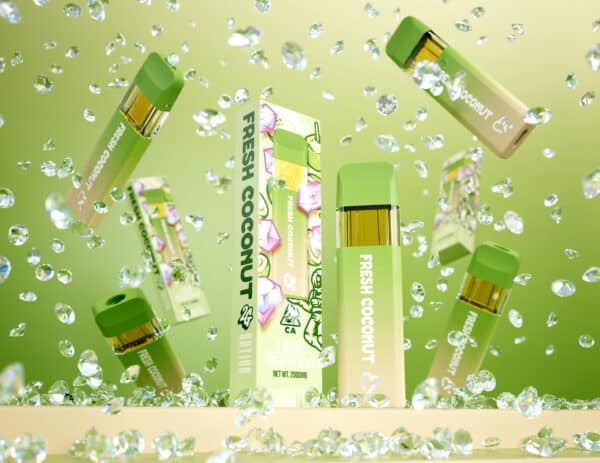 Fresh Coconut 2g liquid diamond favorite disposable